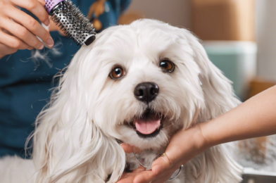 The Ultimate Guide to Pet Grooming at Home